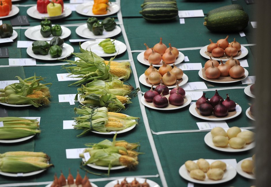 Rhs Garden Wisley On Twitter View More Than 60 Classes At - 