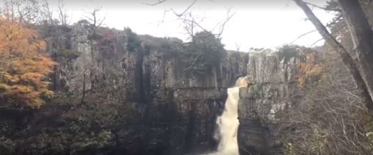 Teesside Live tweet media