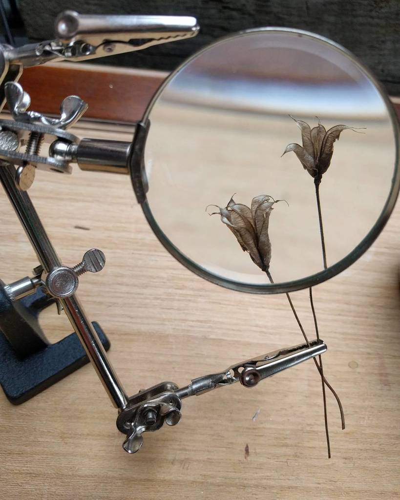 Ironbees's tweet photo. #smallthings https://t.co/gcwk4yojSL