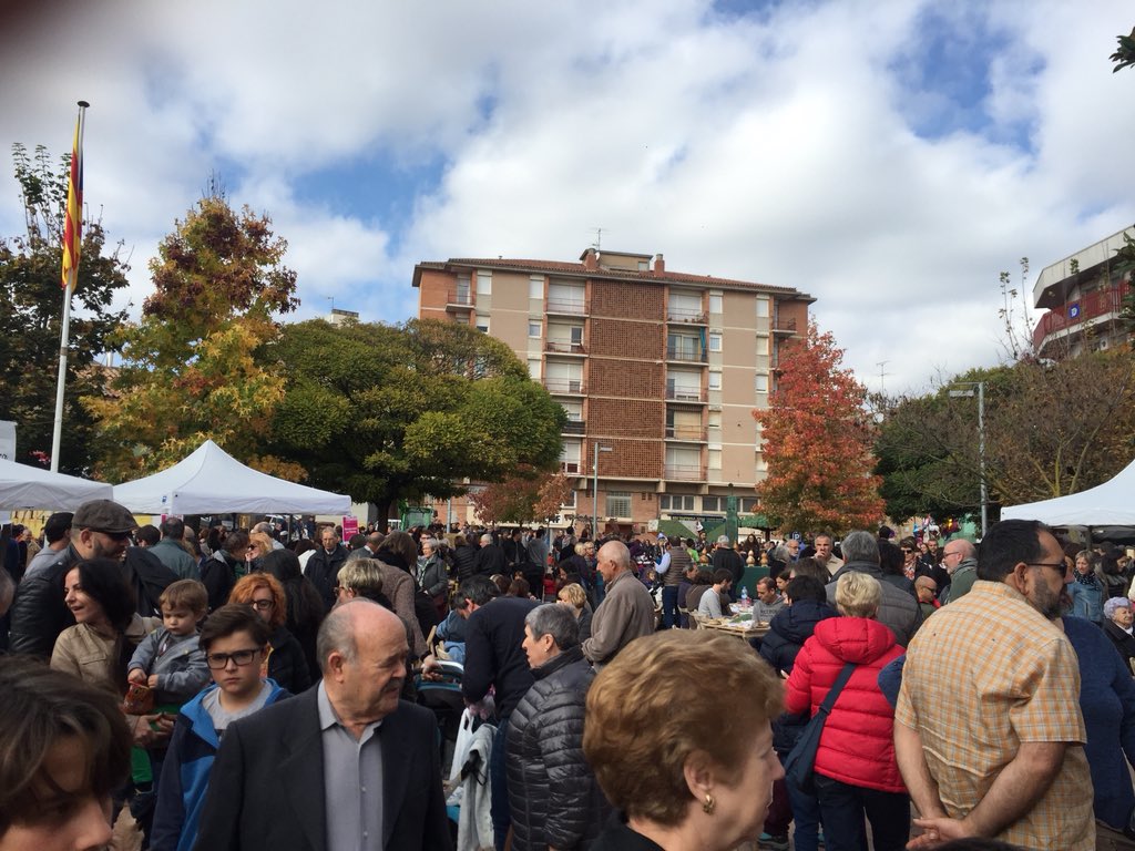 CAT Patrimoni tweet media