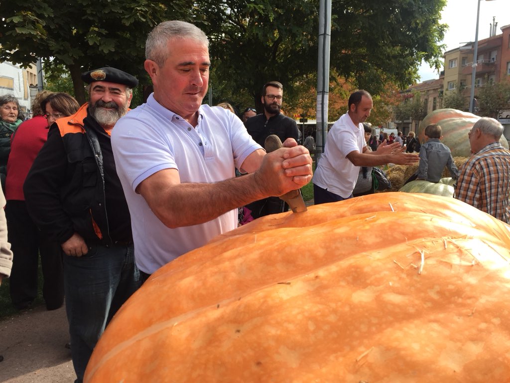 CAT Patrimoni tweet media