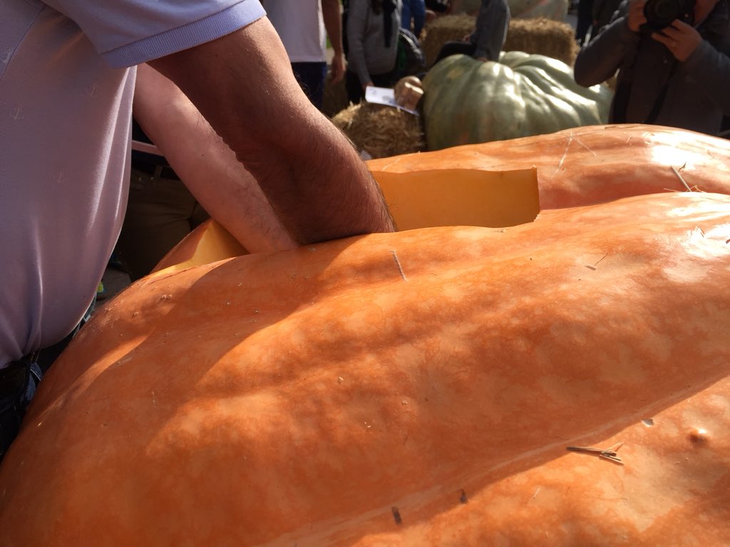 CAT Patrimoni tweet media