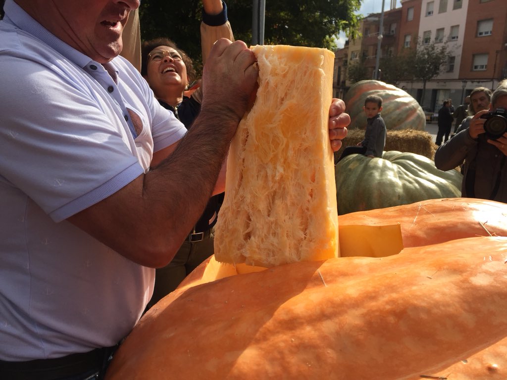 CAT Patrimoni tweet media