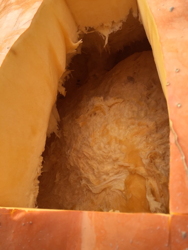 CAT Patrimoni tweet media