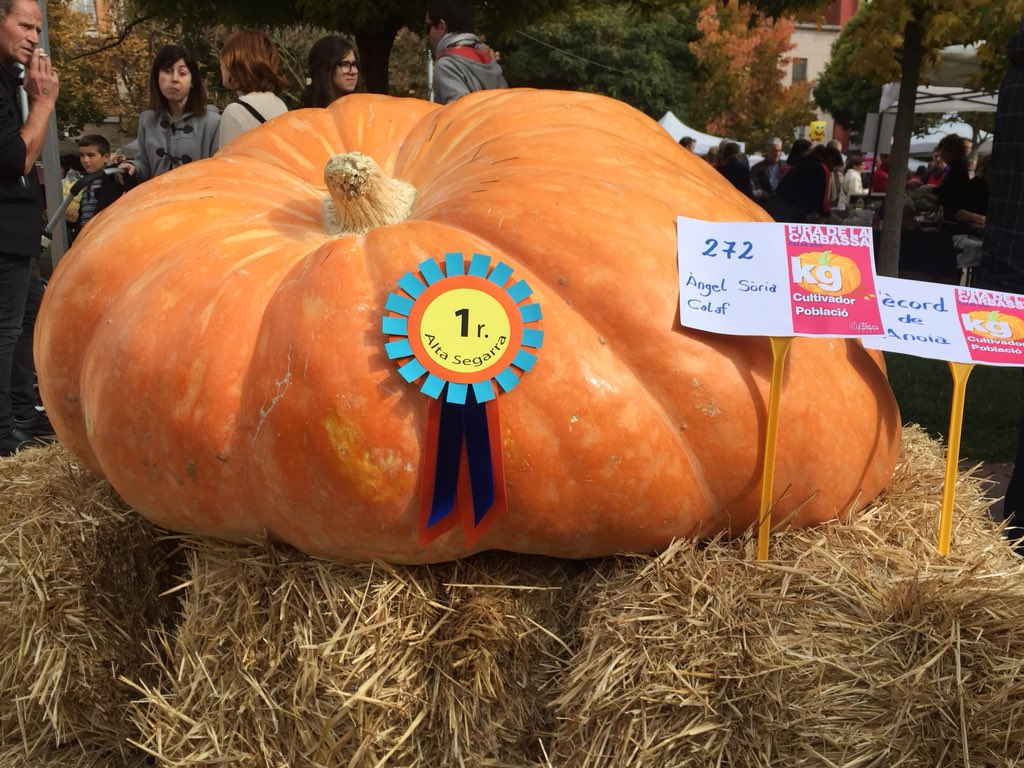 CAT Patrimoni tweet media