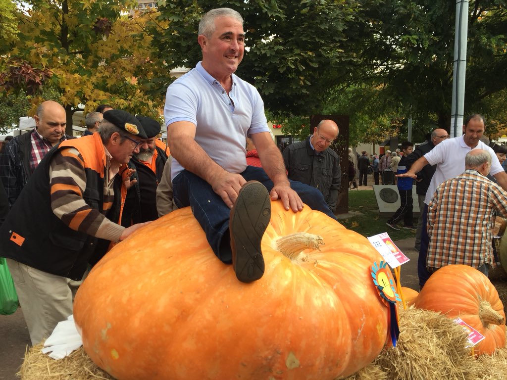 CAT Patrimoni tweet media