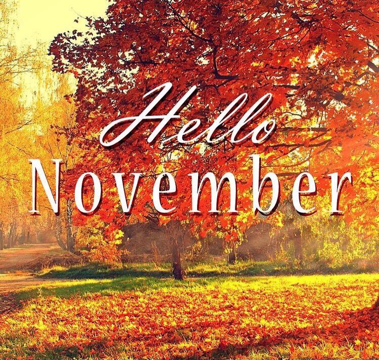 IndiaDiorNC's tweet photo. And just like that it's November!! Some of my favorite Holidays are around the corner🦃🍽🎄🎁🤗. This year is going by so fast 💨 #Chapter11of12 https://t.co/51hsW7HkIT