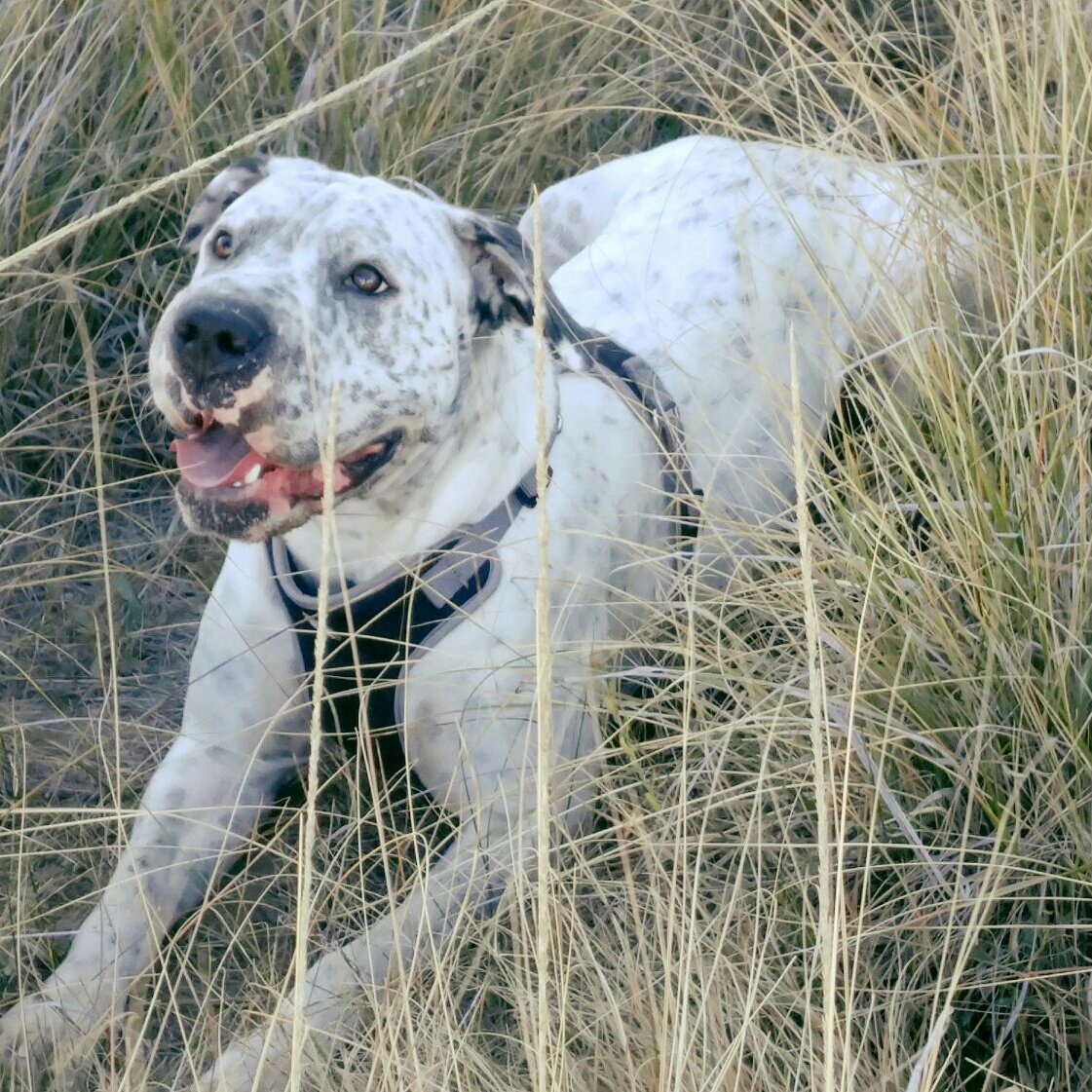 Jarrellandscape's tweet image. #NewProfilePic