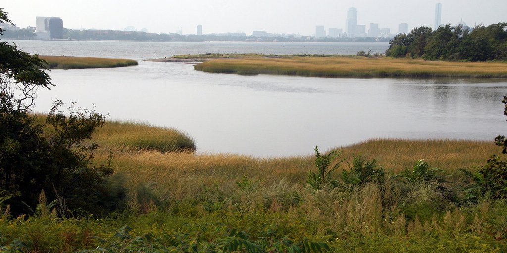 MassCZM's tweet photo. For information on historical losses and gains of #SaltMarsh in #Massachusetts, see: https://t.co/8NnqwqVwLT https://t.co/ibcfxYwlG8