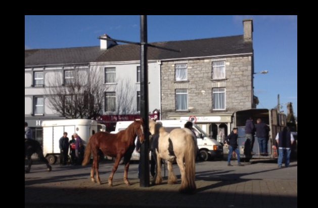 ☘️ Today in Ireland ☘️ (@todayinireland) on Twitter photo Brought the laptop into Castleisland for repair, & stumbled up the horse fair! Excellent! #countyKerry #ireland Brought the laptop into Castleisland for repair, & stumbled up the horse fair! Excellent! #countyKerry #ireland
