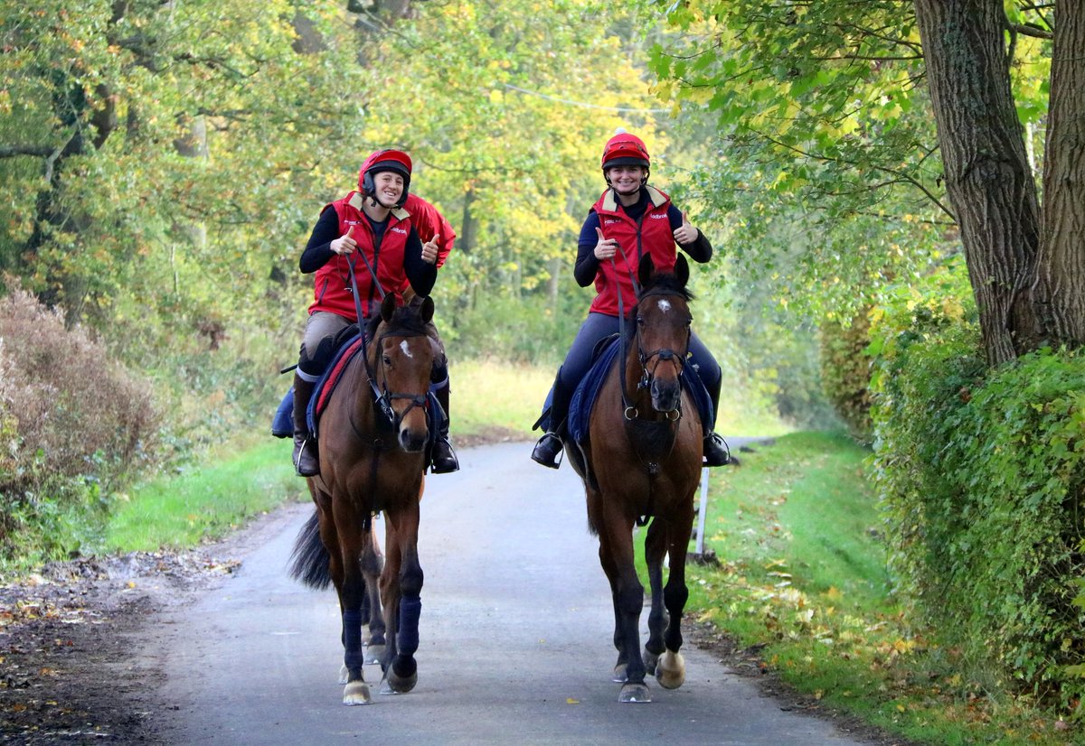 David's Everywhere (@davids_ewhere) on Twitter photo Thumbs up and a smile from these two for the man stood in the middle of the road with a camera at <a href="/DSkeltonRacing/">Dan Skelton Racing</a> #stablelife #lodgehill Thumbs up and a smile from these two for the man stood in the middle of the road with a camera at <a href="/DSkeltonRacing/">Dan Skelton Racing</a> #stablelife #lodgehill