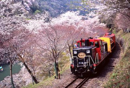 ayuhtravel's tweet photo. Sagano Scenic Railway, Kyoto, Japan

#AyuhTravel https://t.co/vXelnyBl2l
