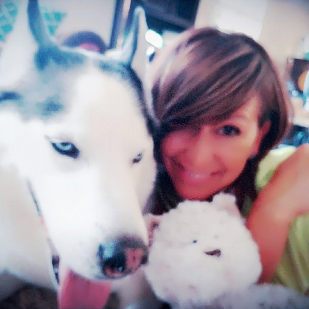 SylviaAnitaR's tweet photo. Love this pup :)
#adventureswithJake https://t.co/chMUgxjdEM