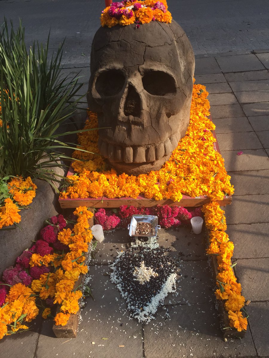 GuiaCoyoacan's tweet photo. #TodosLosSantos hoy llegan... https://t.co/gDgurqQqRz