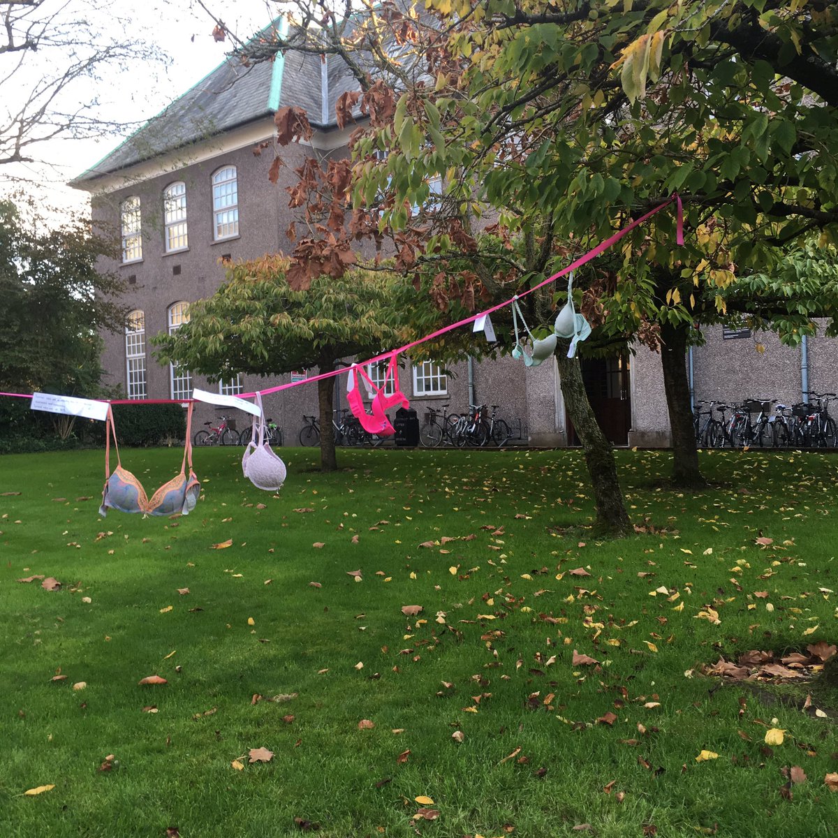 c_heavin's tweet photo. Well done to those promoting #BreastCancerAwareness @UCC @CUBSucc https://t.co/eFcFd5NXGu