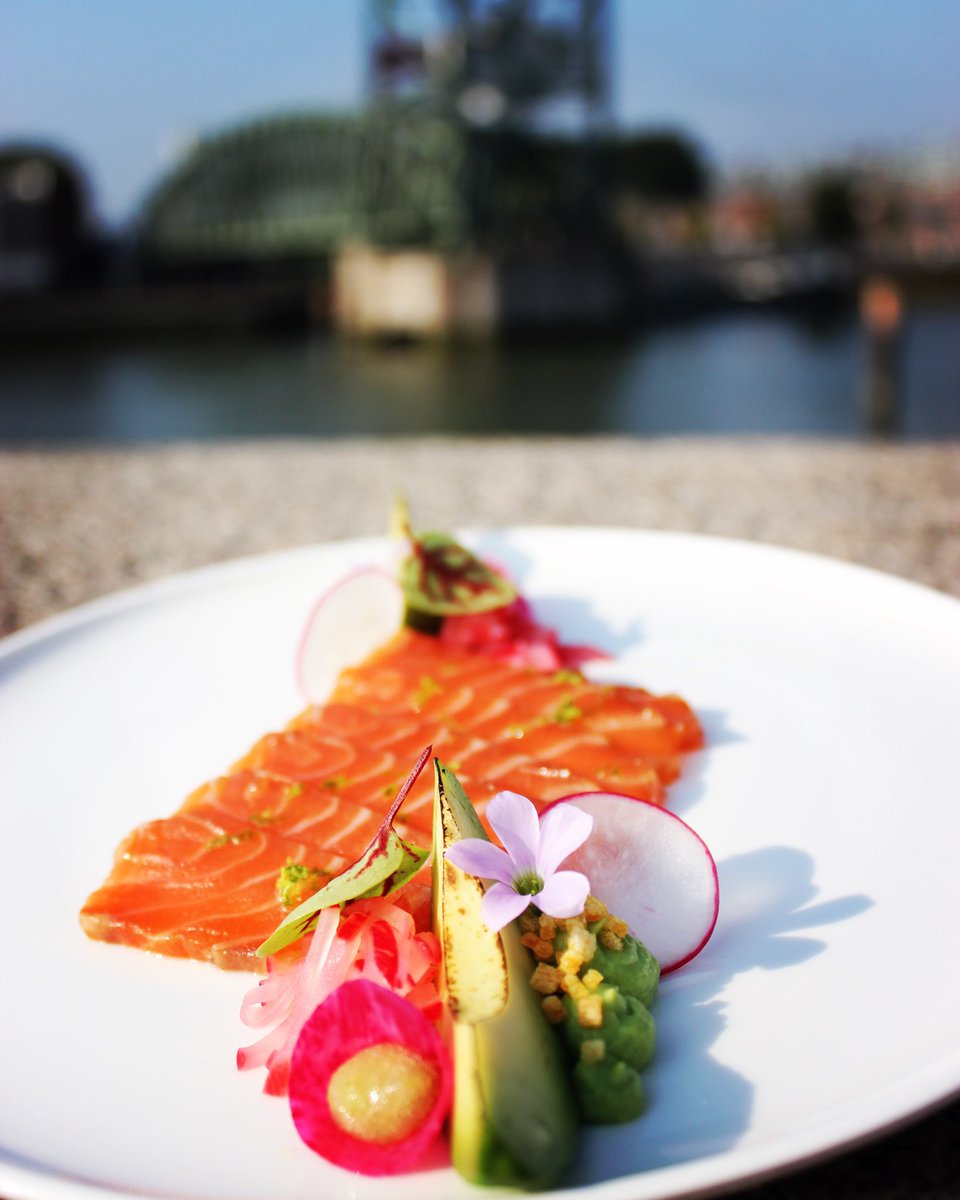 Zalm met avocado en radijs 🐟🥑🍷