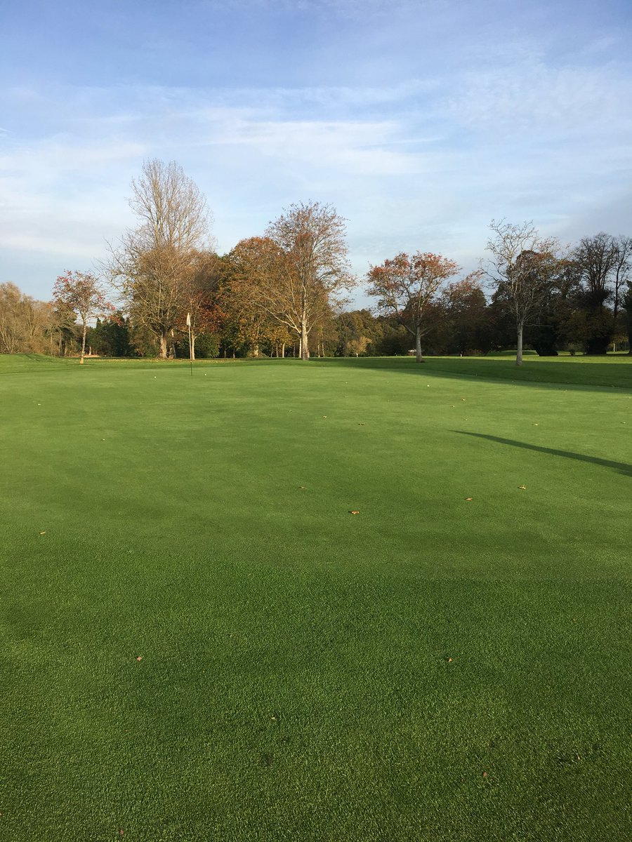 dceverettpgapro's tweet photo. I’m sorry but you will struggle to find a course in this country in better condition right now @exetergcc congrats @daveappell @parregcc https://t.co/Bi1bhl4bUi