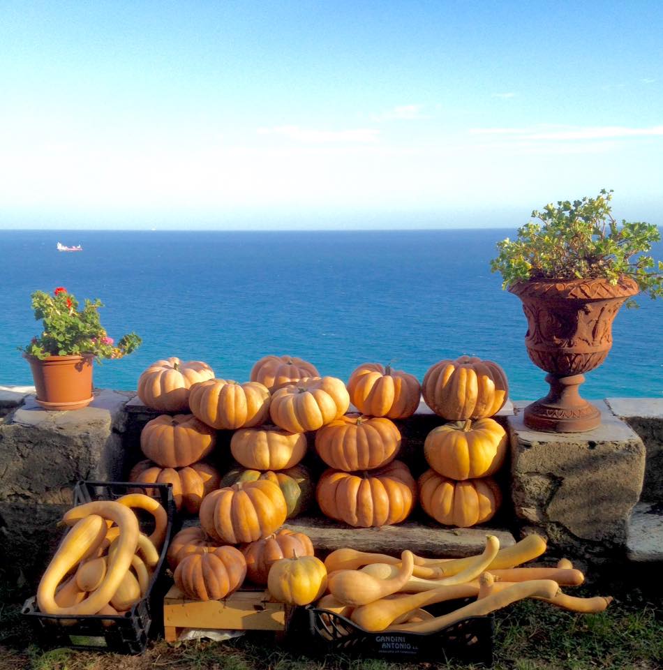 Rebisofficial's tweet photo. Je reviendrai en automne parce que l'automne est une virgule 
entre l'hiver et l'été, entre passion et solitude🎼
Buon autunno da casa Rebis! https://t.co/sscI3XPTaC