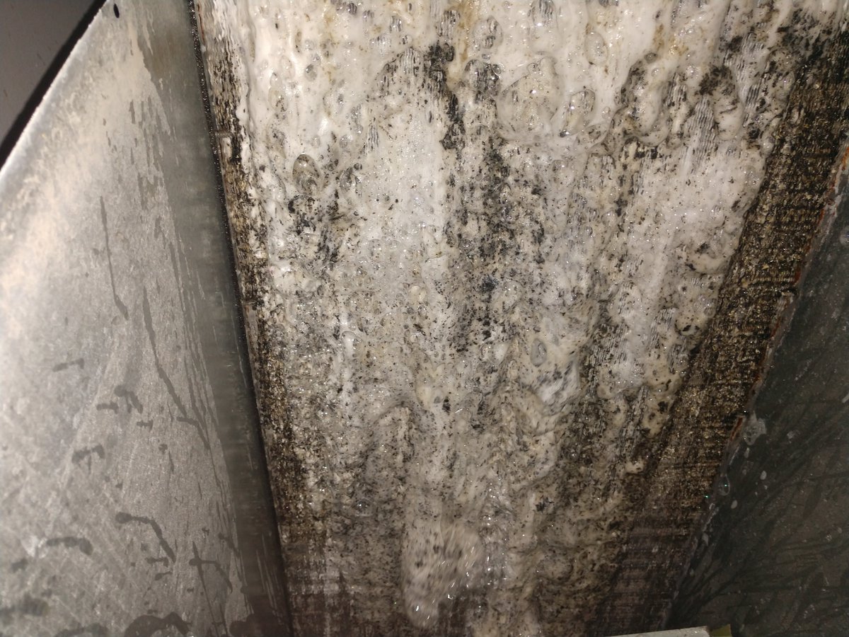 GetMoCool's tweet image. Good Morning! Here's some before and after pics of a coil cleaning! If you need service, call us (888)-381-9022
#hvac #f4f #like #follow #ac