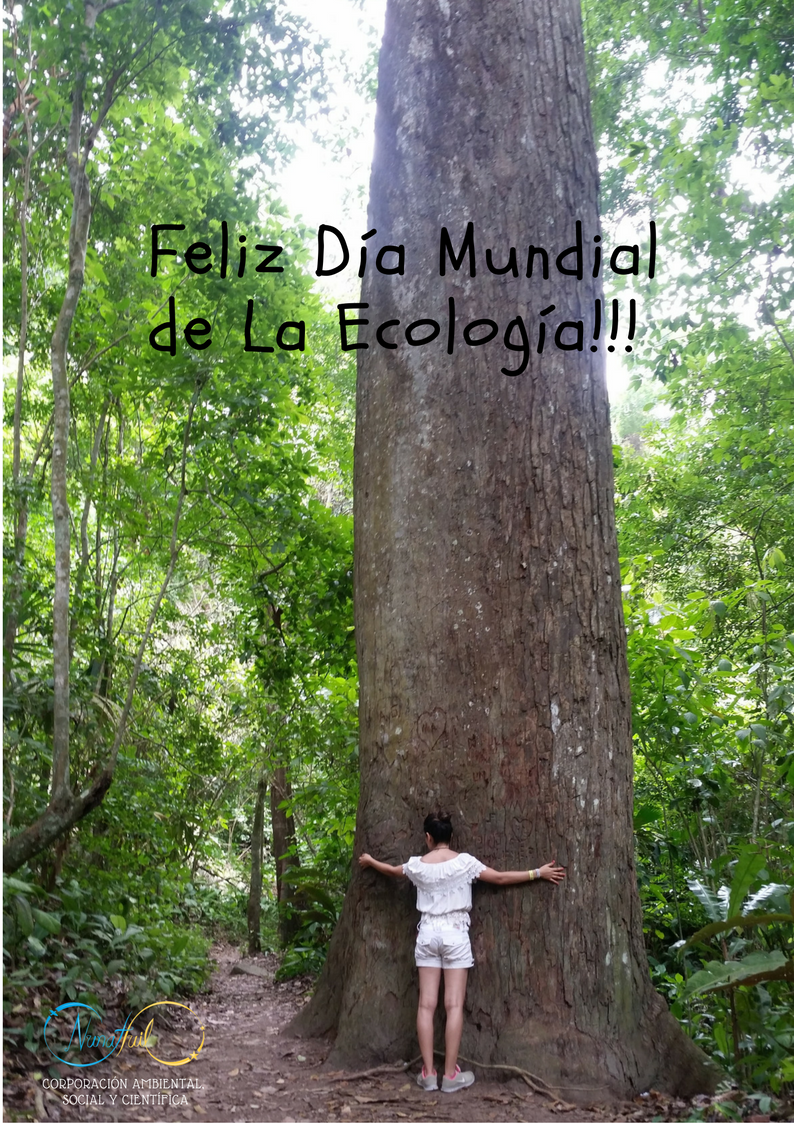corpnunahuil's tweet photo. 💥Es importante vivir en armonía con nuestro entorno, permitirnos disfrutarlo sanamente y recibir su energía vital. 📷H. Andres en PNN Tayrona https://t.co/RbixRqAZEb