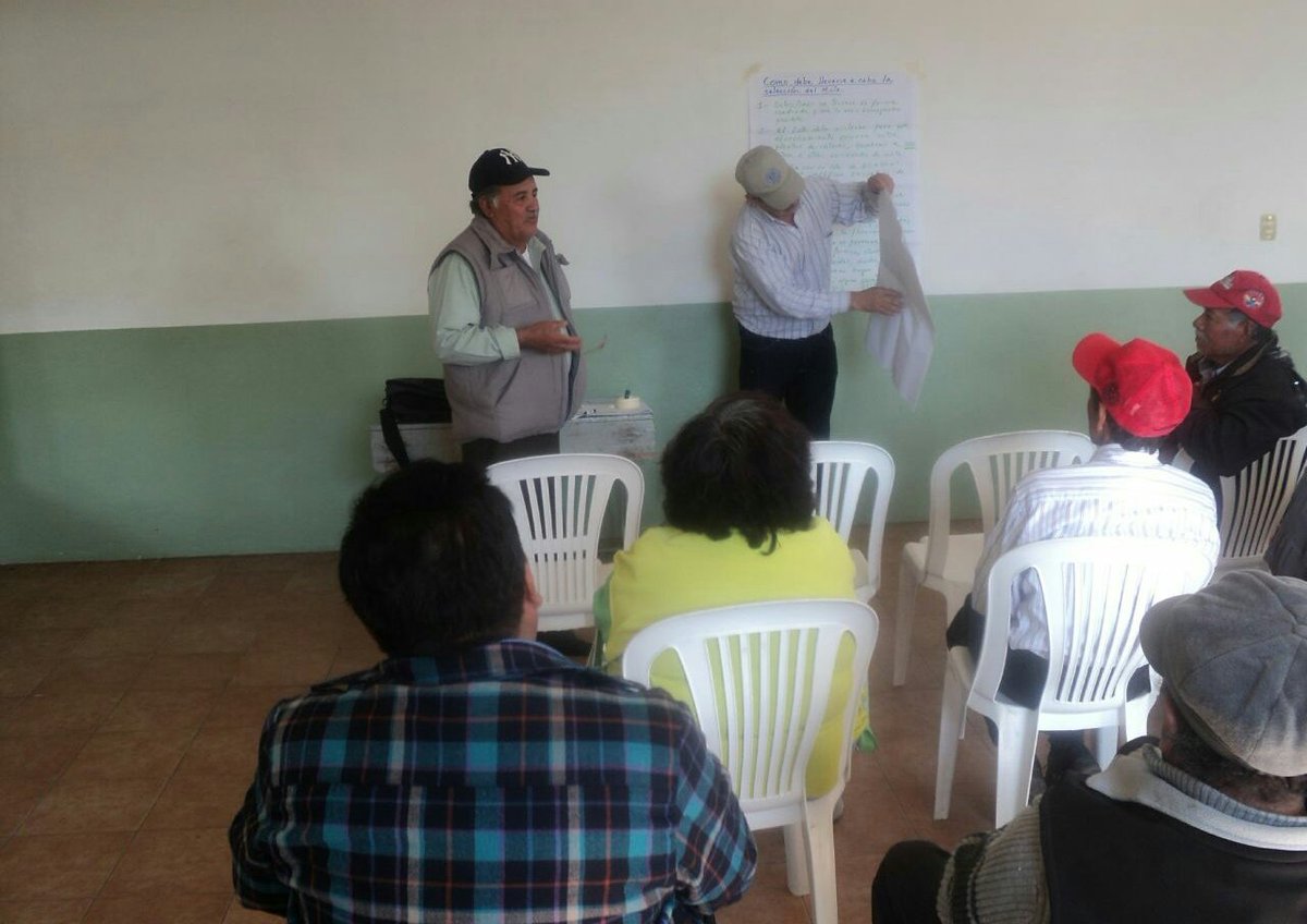 inghectorgonza's tweet photo. Curso de Selección Masal en Toluca de GuadalupeTlax #PROAGROCapacita #MasAgroCosecha @JorgeNarvaezN @mlopezs67 @ppcalzada @SAGARPA_mx https://t.co/H7SW9iN25Y
