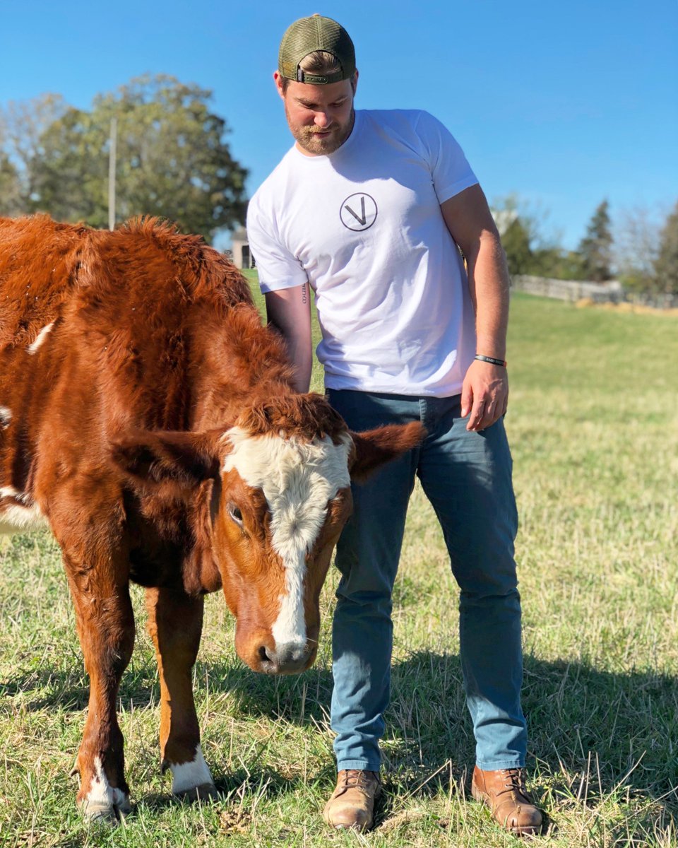 Happy #WorldVeganDay! Animals are smart, funny &amp; sensitive beings. Challenge: try a new vegan recipe each week of Nov. Retweet if you’re in!