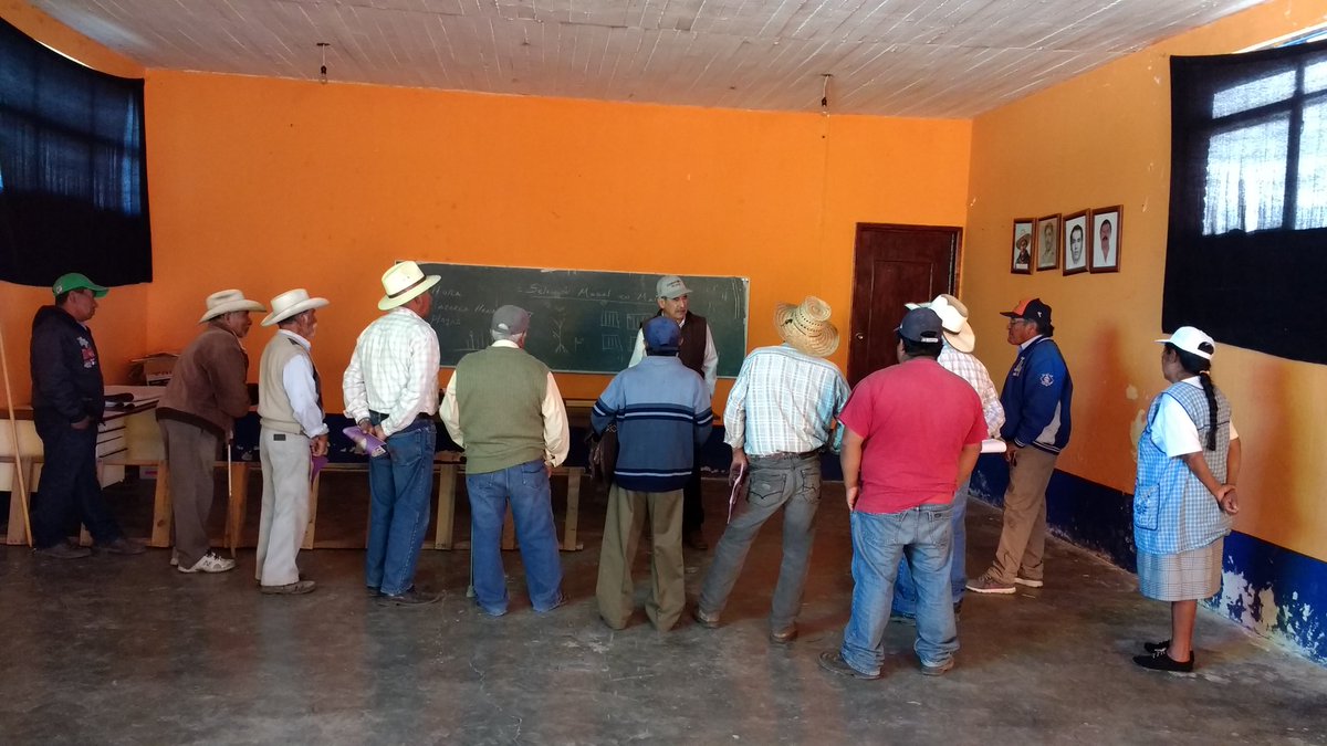 inghectorgonza's tweet photo. Taller de Selección Masal en Toluca de GuadalupeTlax #PROAGROCapacita #MasAgroCosecha @JorgeNarvaezN @mlopezs67 @ppcalzada @SAGARPA_mx https://t.co/6MozFhJU5Z