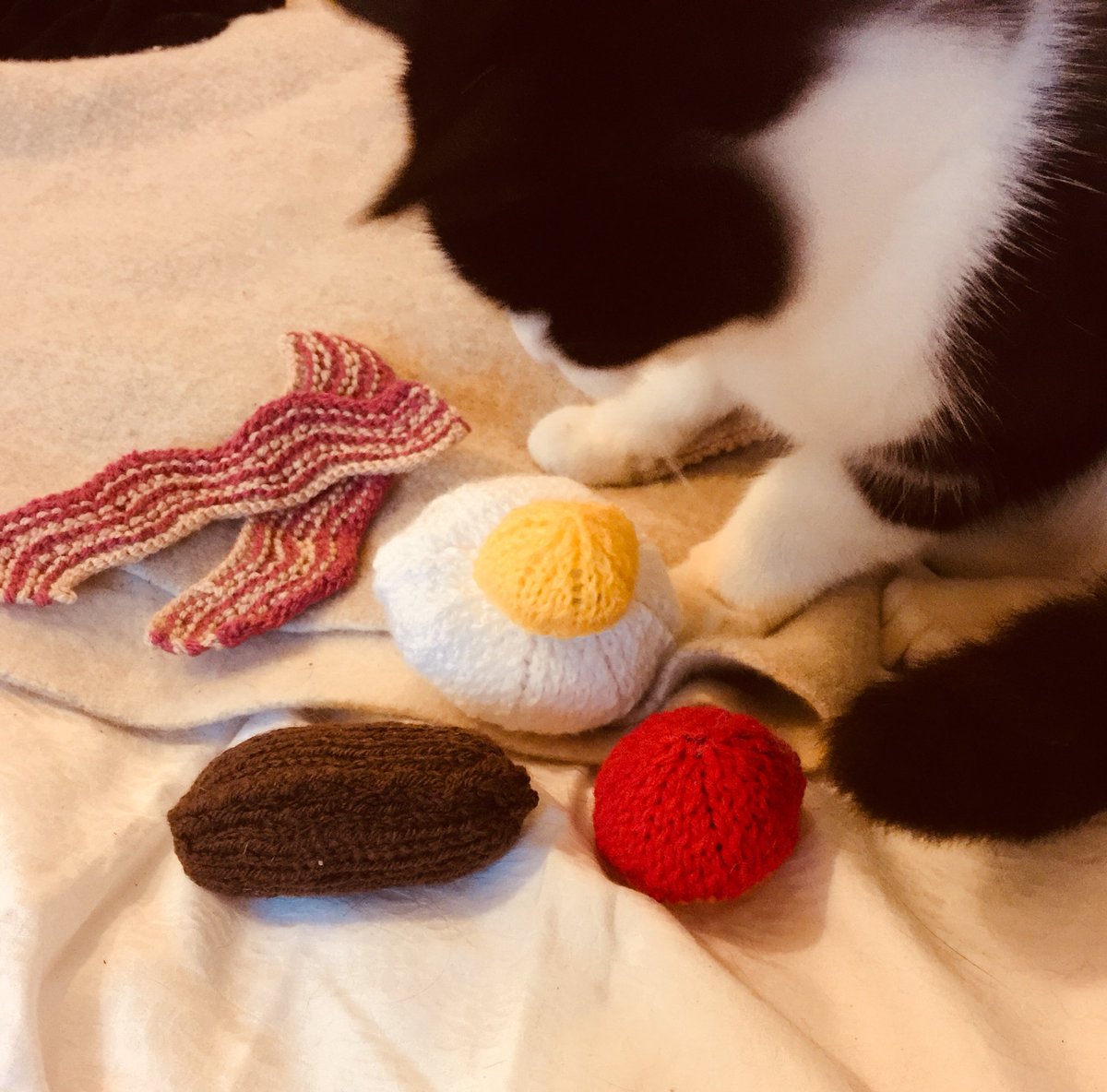 Late breakfast here <a href="/octo_army/">Handmade By You</a> <a href="/Cooperscats/">Mrs C</a> <a href="/BeansyKitty/">Beansy Kitty</a> <a href="/Kernow_Kitteh/">Mona Wiggle Butt</a> @Cat_Weasel <a href="/Chavcat/">Juno🌈</a>