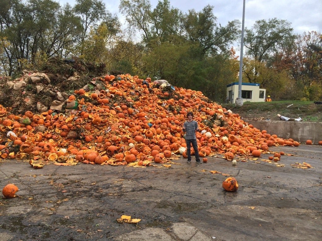 unfoundhouse's tweet photo. The day after #Halloween  at the dump... https://t.co/vSLdRzEyeS