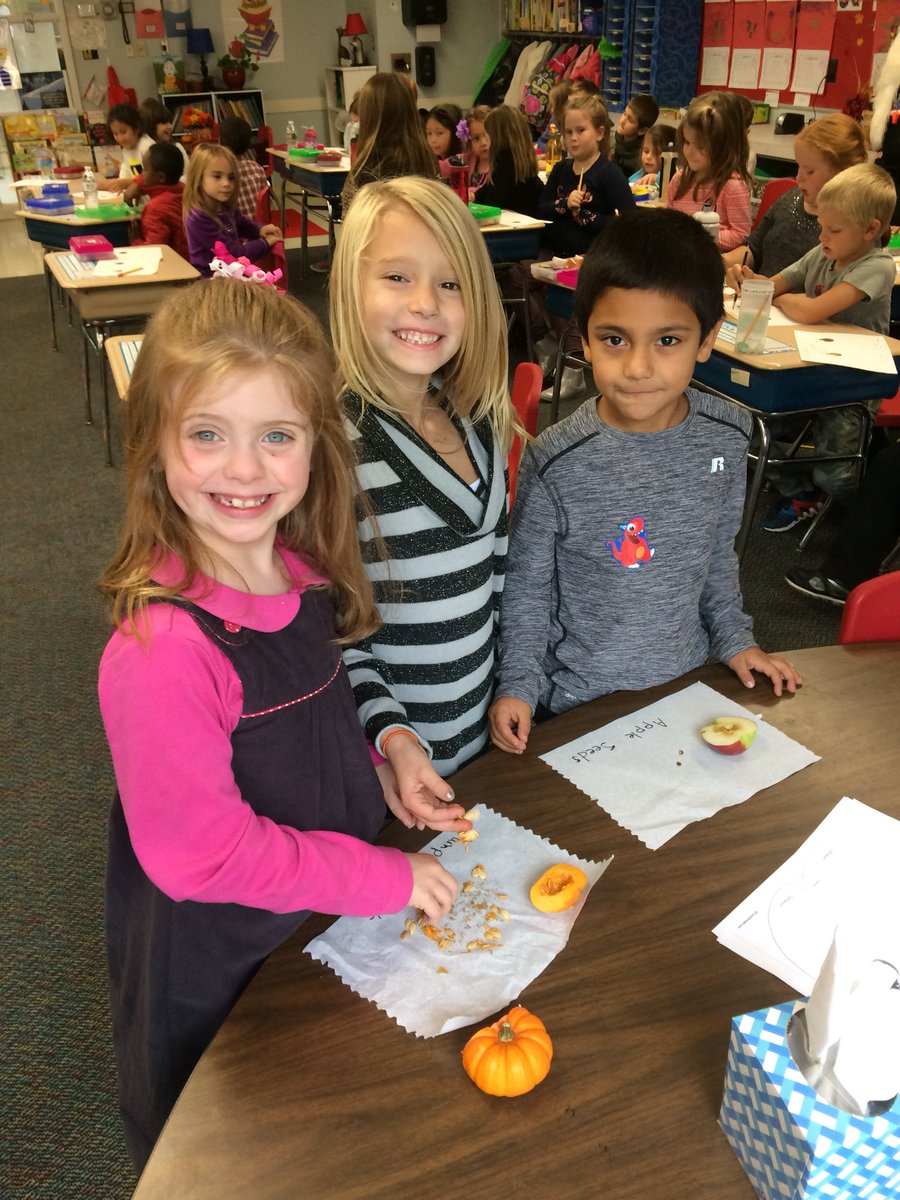 MacnallyJanet's tweet photo. STEM lesson comparing pumpkin and apple seeds with Mrs.Souza’s class #Mashpee https://t.co/gqqainO6vU