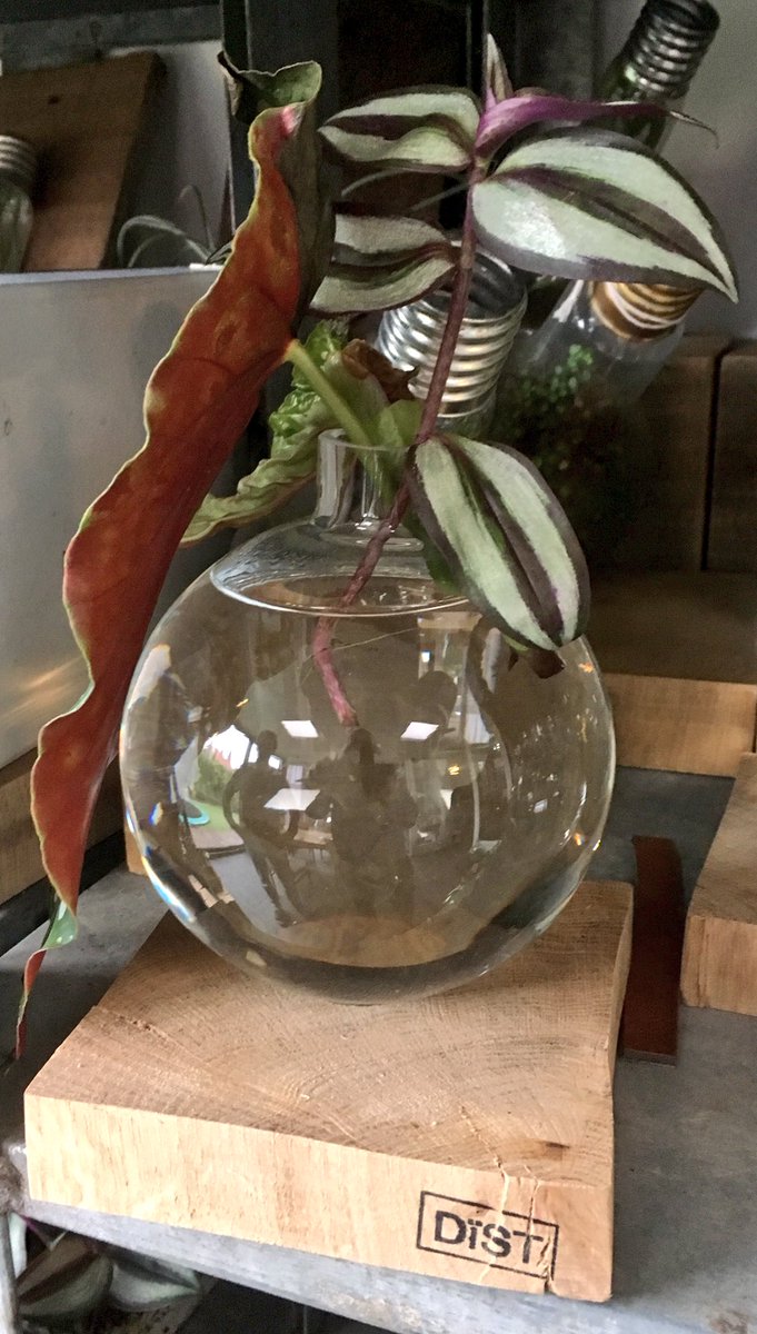 nowastedesign's tweet image. Onze groeilamp al gezien? #Duurzaam cadeau nowastedesign.nl/woonaccessoire…