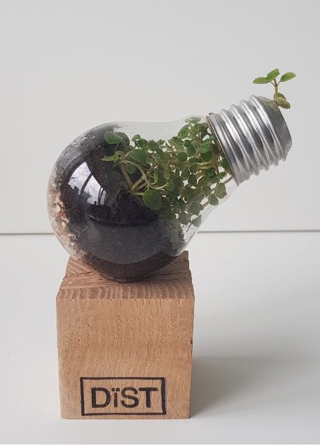 nowastedesign's tweet image. Onze groeilamp al gezien? #Duurzaam cadeau nowastedesign.nl/woonaccessoire…