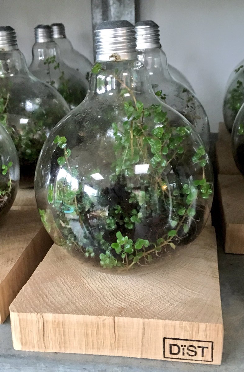 nowastedesign's tweet image. Onze groeilamp al gezien? #Duurzaam cadeau nowastedesign.nl/woonaccessoire…