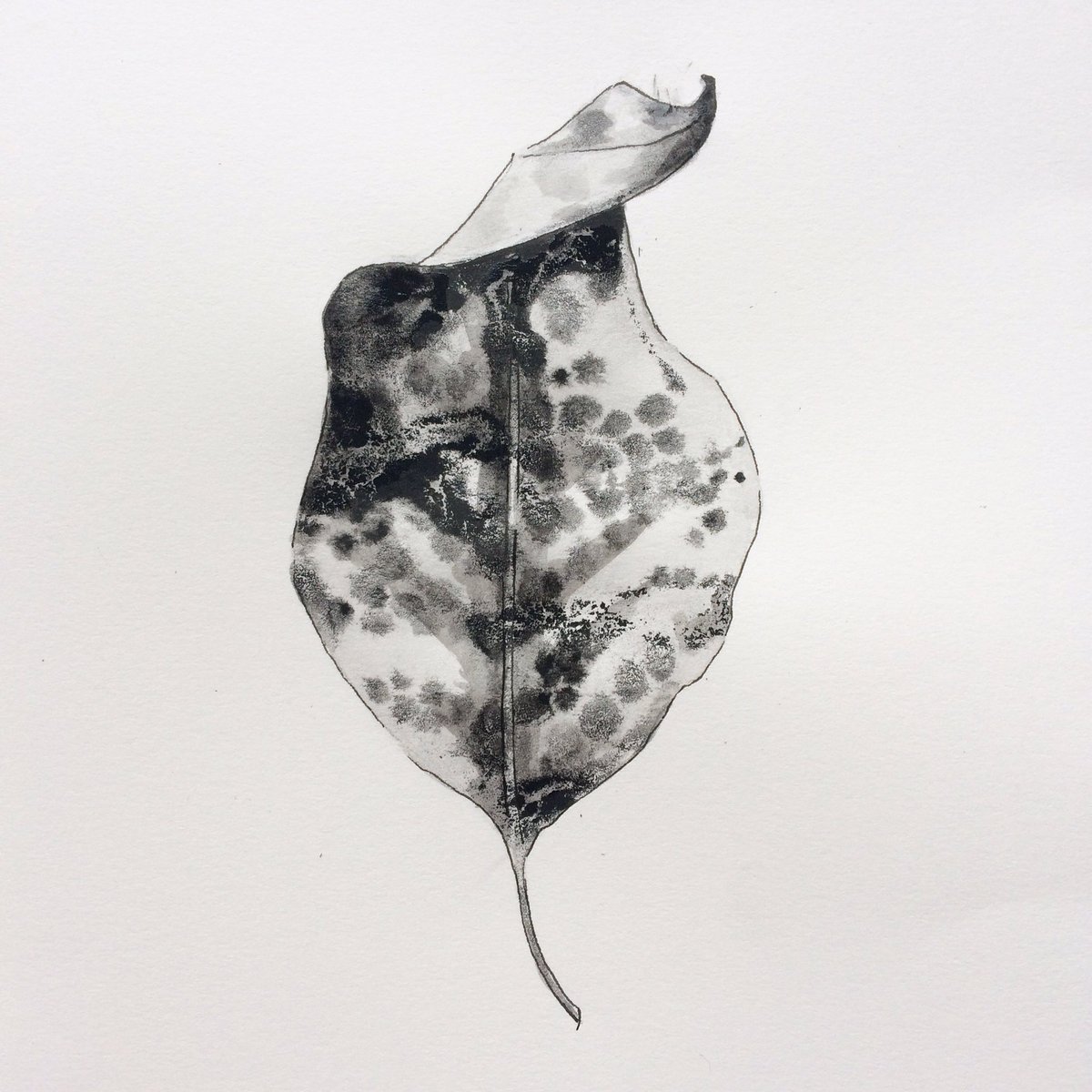Lucy_Springall's tweet photo. Some @inktober painting in my new studio @BowArts after several weeks of no art #movinghouse #movingstudio inktober #autumnleaves #leegate https://t.co/C5gMLMnU36