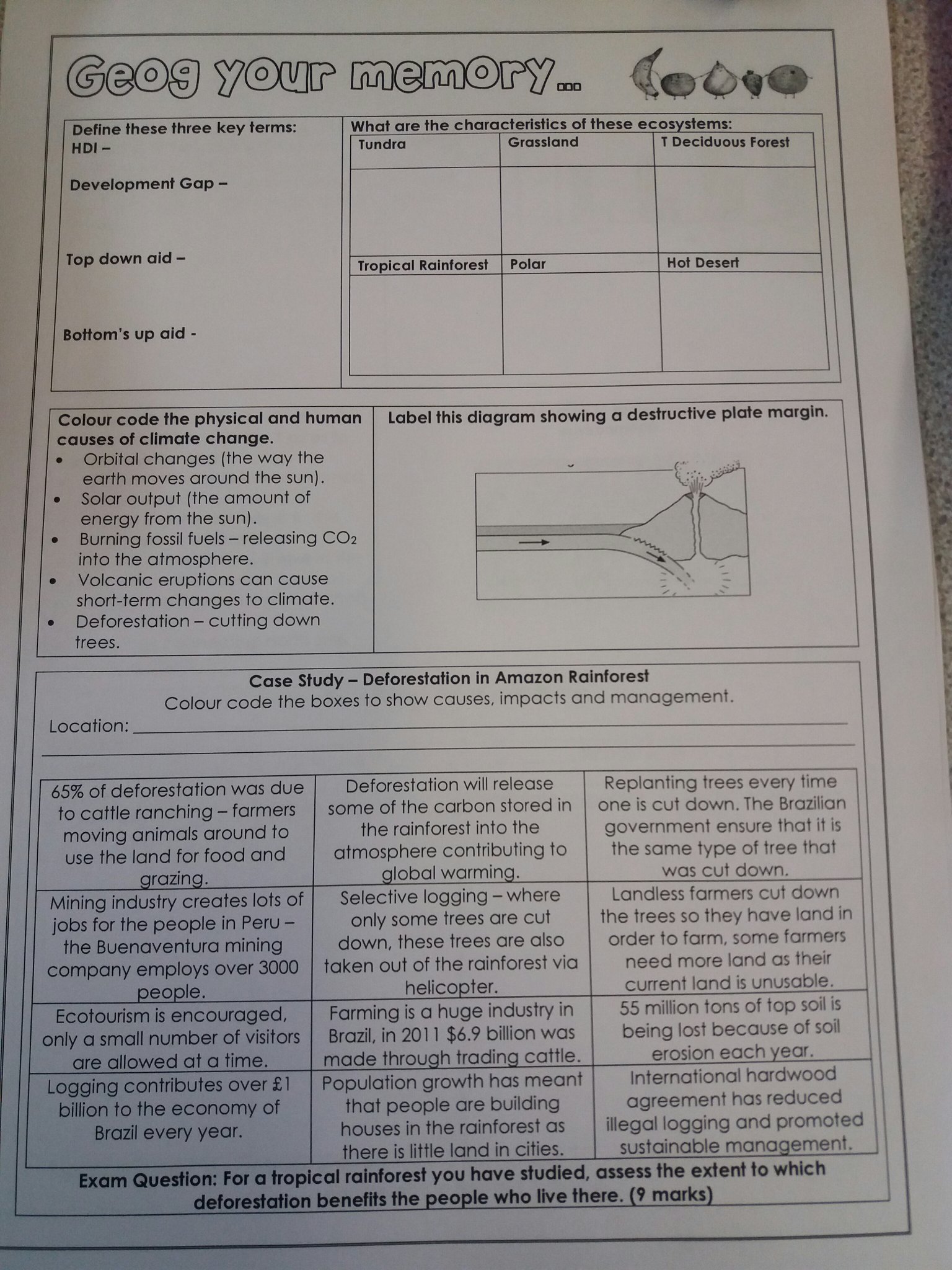 blackfish summary essay on america
