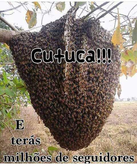 Bora multiplicar os seguidores?!? 
#duvido
Melhor seguir o <a href="/BetaQuerLab/">#BetaQuerLab</a> 
#Betaquerlab