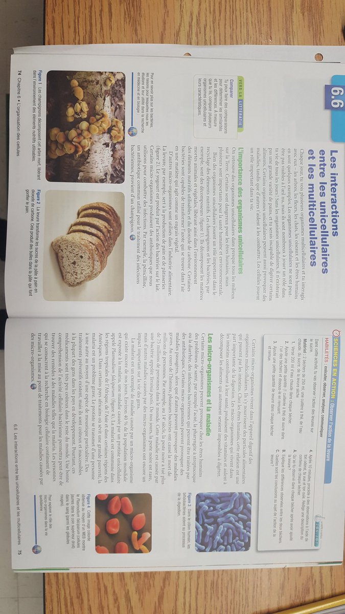 Mme Turner (@madame_turner) on Twitter photo 