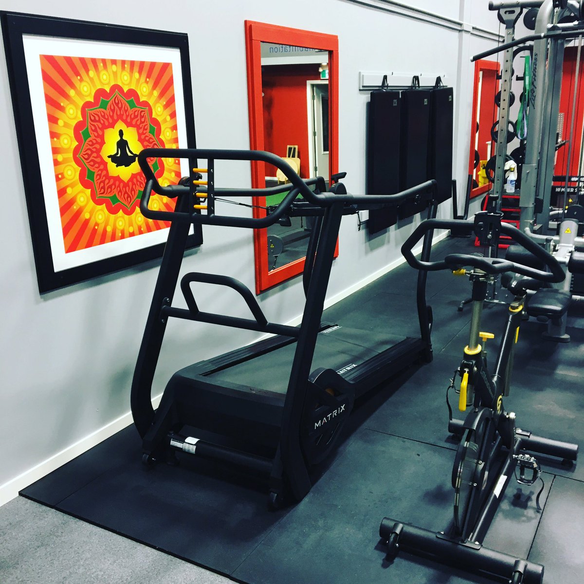 CoastKinetics's tweet photo. Time to break-in our new Matrix S Drive @matrixfitness #functionaltraining #sweat #sled #parachute #cardio #burnbabyburn #kinesiology https://t.co/VaYHIfzQjj