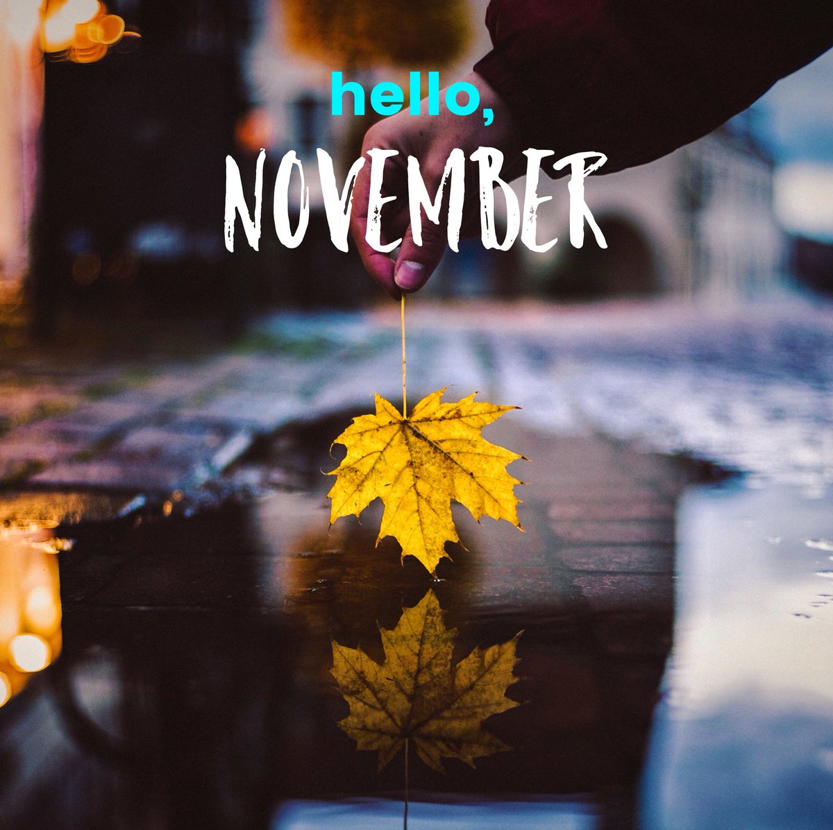 aquamarina_gr's tweet photo. #WelcomeNovember with your beautiful colours and those autumn walks in the countryside! โ๏ธ #newmonth #autumnmonth #awesomemonth https://t.co/6Vt7fnMN9y