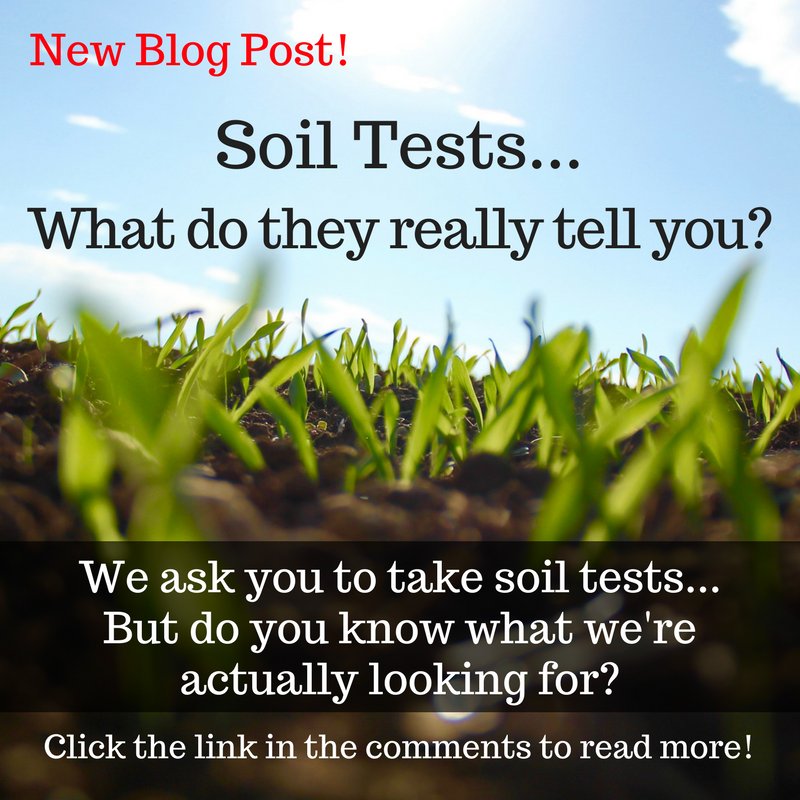 FertrellCompany's tweet photo. Soil Tests... What Do They Really Tell You?
https://t.co/DLGmy7S2eS
#Fertrell #Blog #Soil #SoilTest #HealthySoil #Organic #Natural #Farm https://t.co/ic6n7nllnq