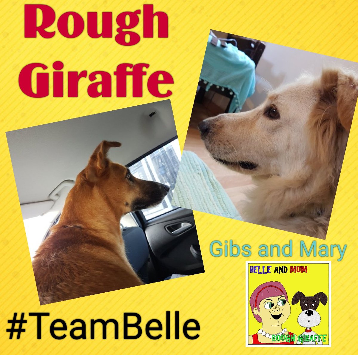 RoughGiraffePod's tweet photo. This week's #TeamBelle shout out goes to Gibs and Mary. If your furry friend wants a shout out on the show send us a photo. #TeamKipper https://t.co/A0rORxJDYn