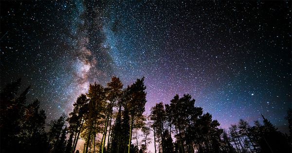 PlanetGreen's tweet photo. Looking for a star to wish upon? November's got you covered.  Here's your guide to what's happening up there. https://t.co/qo6vYGWQ5y https://t.co/pkrExlJBnS