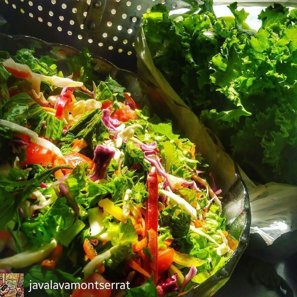 DiscoverMNI's tweet photo. @Regranned from @javalavamontserrat - If loving Salad was wrong, the #javanation would be in soooo much trouble! … https://t.co/7qLi9ftGKw https://t.co/i4vgAwlmIp
