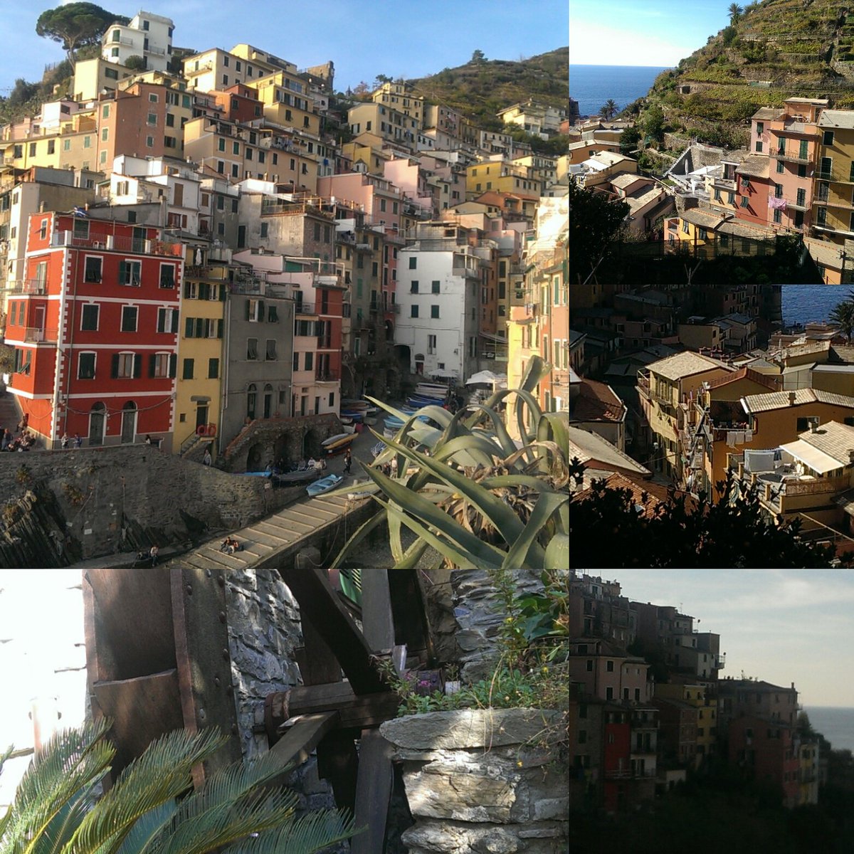 emilie6900's tweet photo. #vacances #italie #cinqterres #corniglia #manarola #riomaggiore #baignade1ernovembre #cdecideonreste #justesublime https://t.co/LJrdwJdxfB