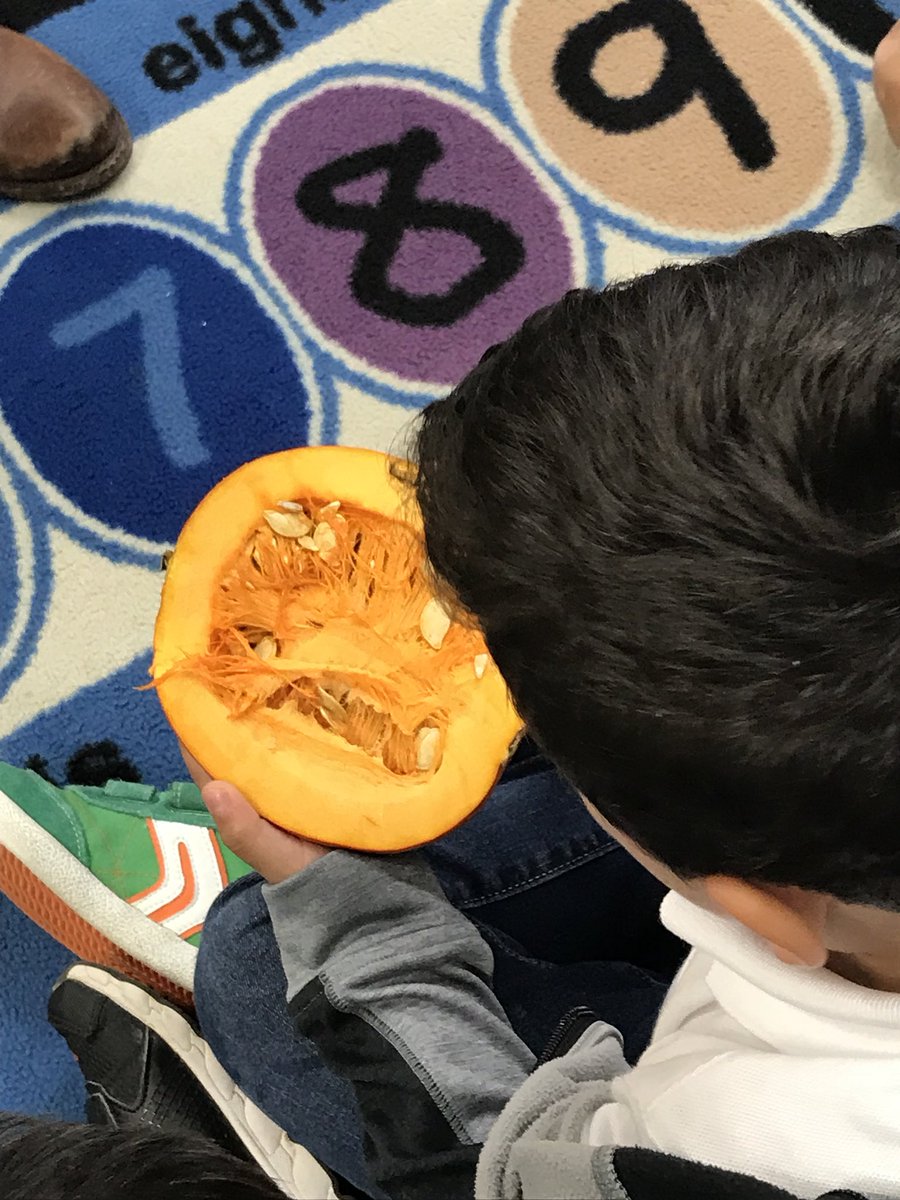 LorenaP55868886's tweet photo. Using realia to make content comprehensible  at NHM DLE Two-Way @EldaMRojas @khechara @KentPScribner https://t.co/cMNeFaBWR6