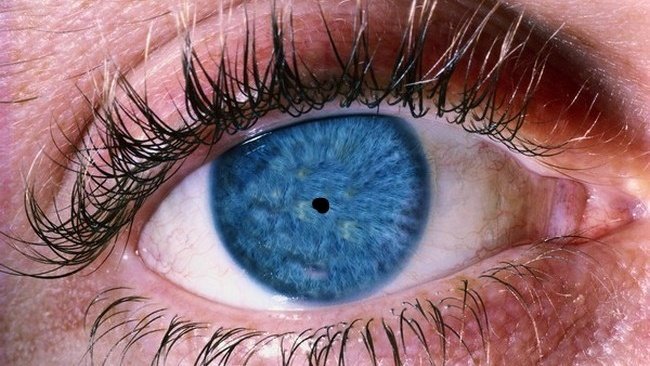 oreokilka's tweet image. 'źrenice moga powiekszyc sie o 55% kiedy patrzysz na cos co kochasz'

ja patrząc w lustro: