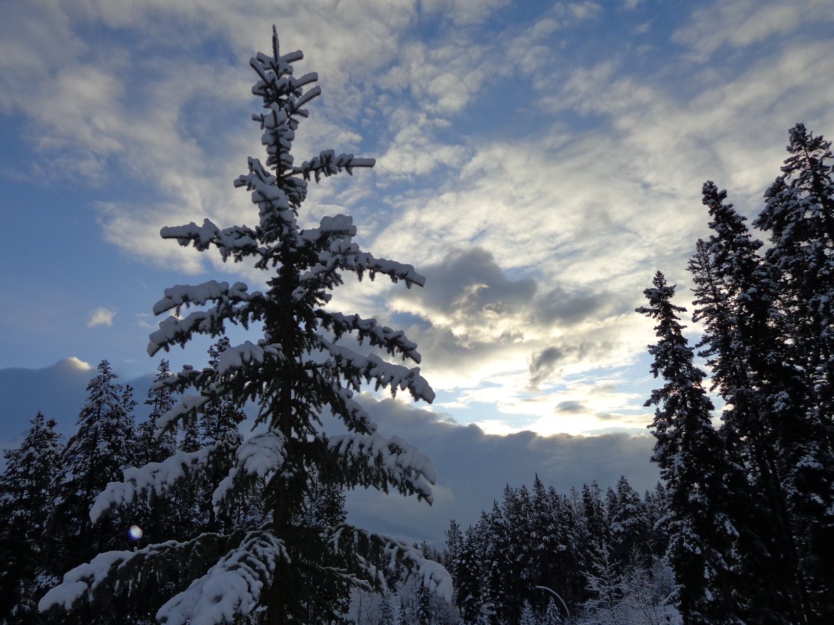 Its Snowvember!  Skiing or just a visit to #winterwonderland ? Don't be left out in the cold. Book your suite soon.