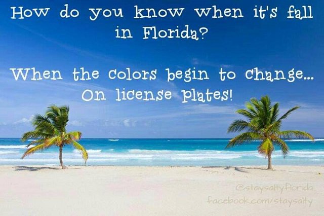 CTMMediaFL's tweet photo. a little #HumpDayHumor https://t.co/raZiIT1O9L