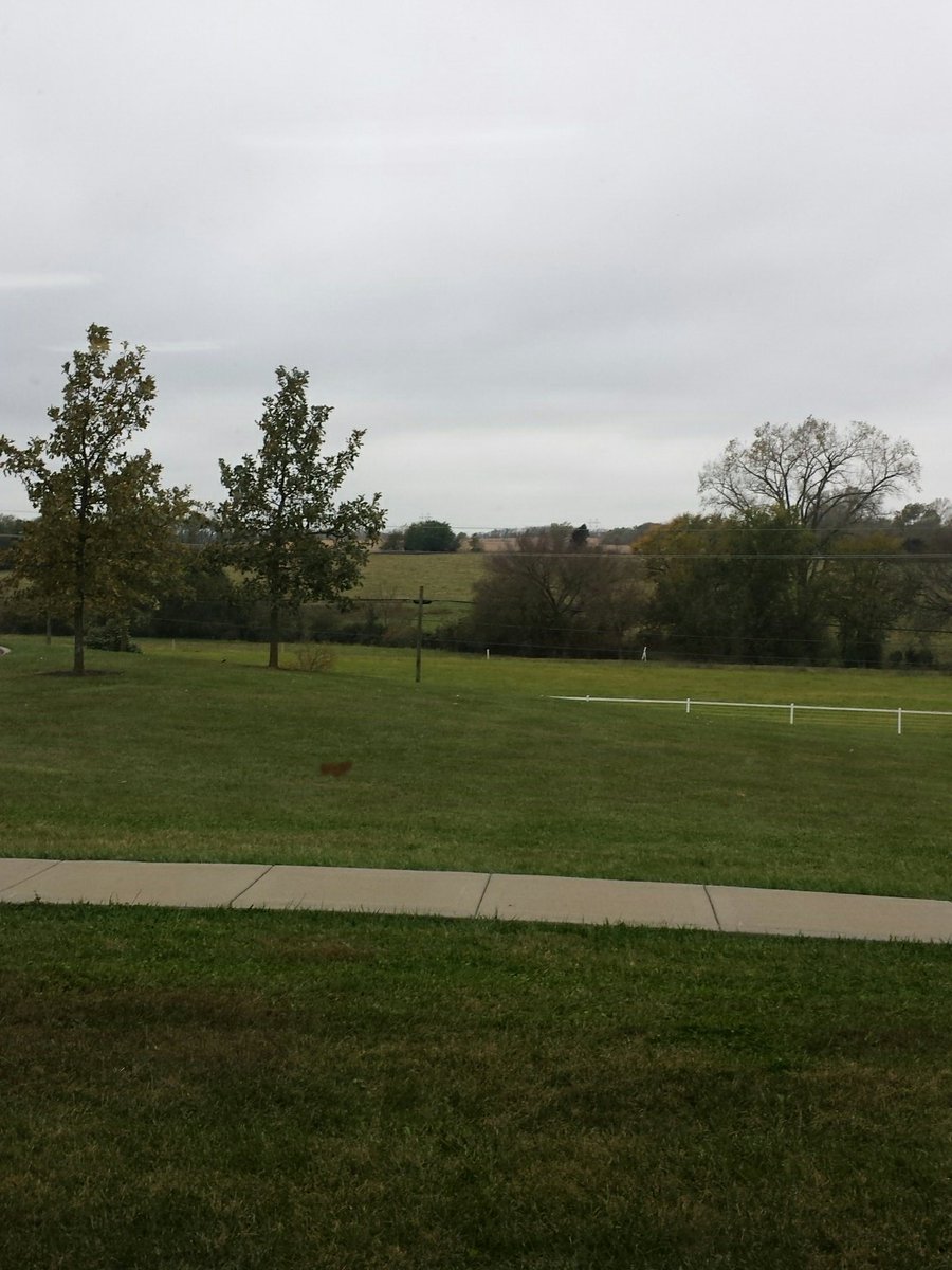 msdsci8's tweet photo. #mcmsmustangs #mcmstwitterphotochallenge #day1 #232connect Something that makes me smile. The view from my classroom window. https://t.co/fW6ciFUisA