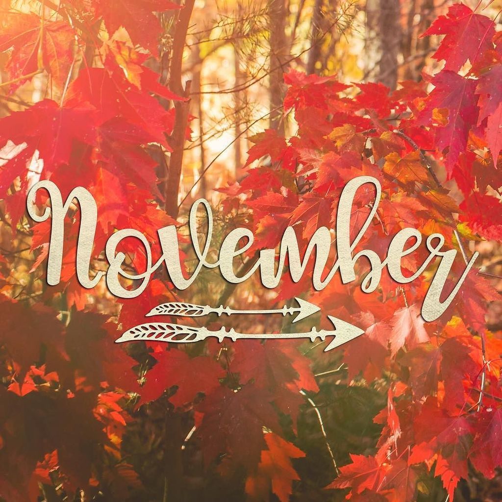 ShawnaMunger's tweet photo. 🍁 It’s November! 🍁
Bring on that pumpkin pie, y’all!! #November #HelloNovember #TennesseeMountains #Fall #FallFol… https://t.co/32lcG0vlvb https://t.co/YuyvD2IEX4